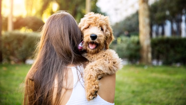 Algenöl omega3 vergleich Omega3 Fettsäuren Lachsöl Hunde